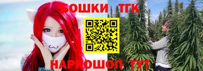 молекула духа Ярославль