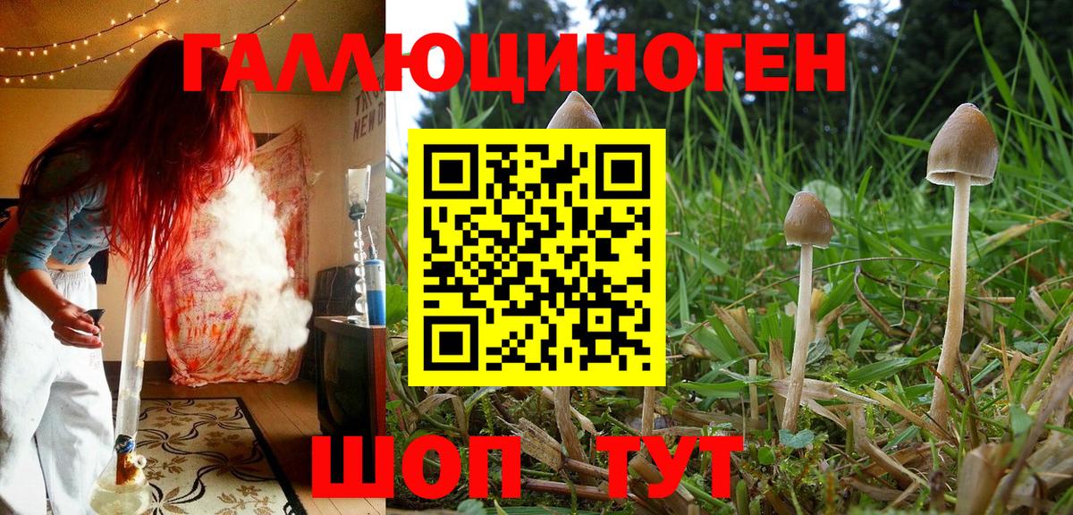 Богородск  Галлюциногенные грибы Psilocybe  Вход с VPN 